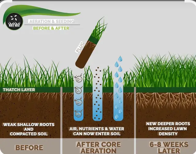 lawn Core Aeration - Photo 2