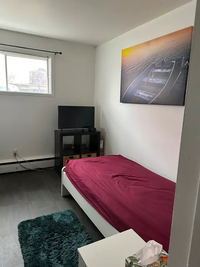 2 1/2 à Ste-Foy Emplacement de choix pour JUILLET - Photo 3