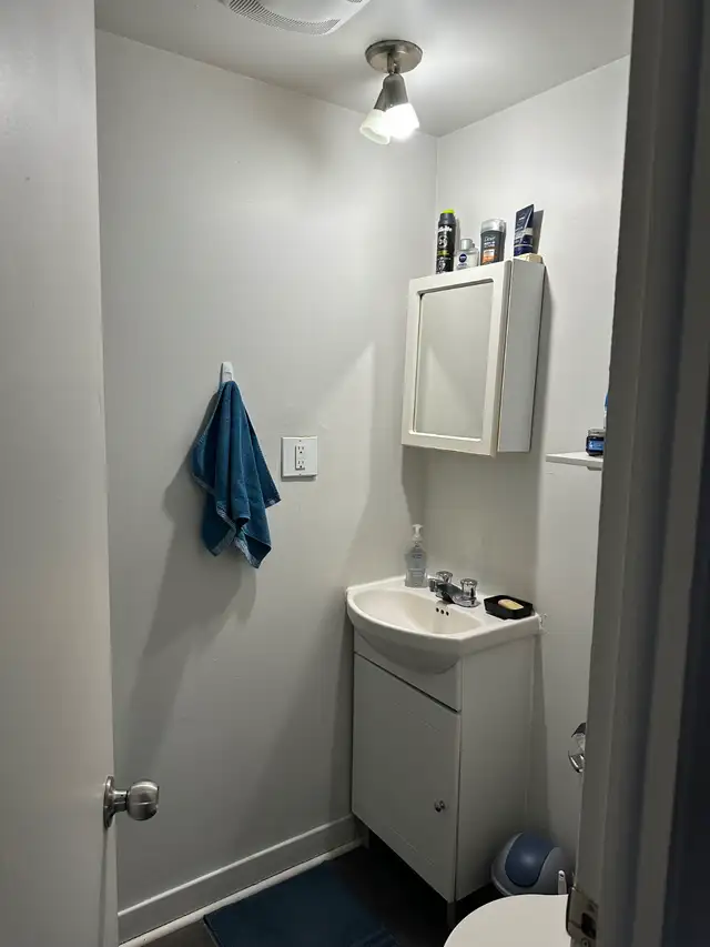 2 1/2 à Ste-Foy Emplacement de choix pour JUILLET - Photo 4