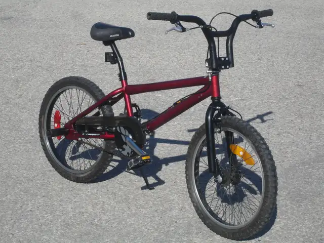 OLD SCHOOL 20' DYNO SERIES TRICK BMX WITH REAR STUNT PEGS!