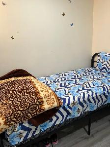 Private Furnished Basement Room onlyFor Female.All Included$500