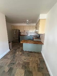 3 bedroom house available for rent - Photo 6