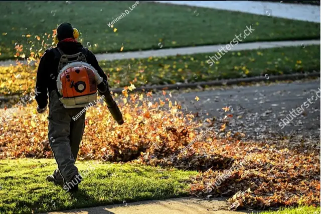 Lawn Crew Laborer - $20/hr "cash"