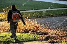 Lawn Crew Laborer - $20/hr "cash"