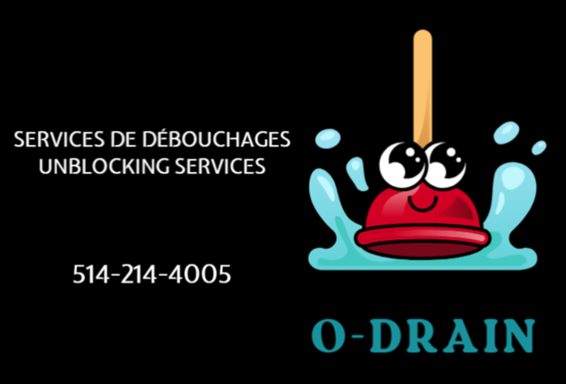 Débouchages service / Unblocking service - Photo 3