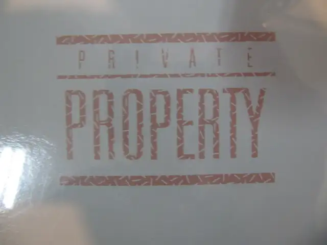 Liberty Silver Private Property Vinyl LP Brand New Sealed Ci1988 - Photo 3