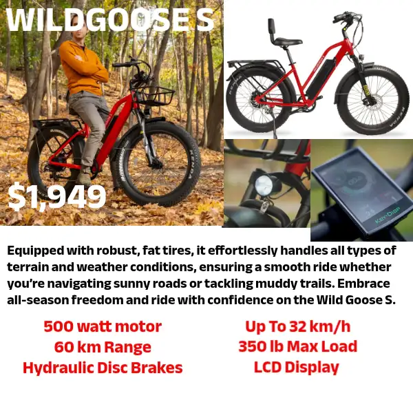 E-BIKES & MORE! - Photo 5