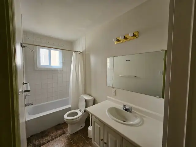 HISTORIC 6 BEDROOM VIBES. ZERO STRESS. THE ULTIMATE STUDENT HQ - Photo 7