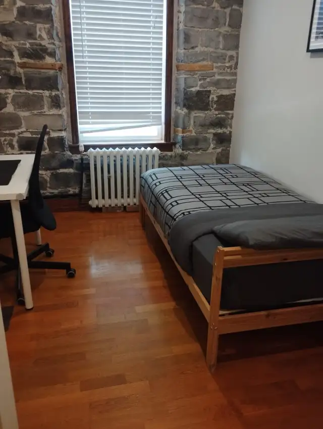 HISTORIC 6 BEDROOM VIBES. ZERO STRESS. THE ULTIMATE STUDENT HQ - Photo 11