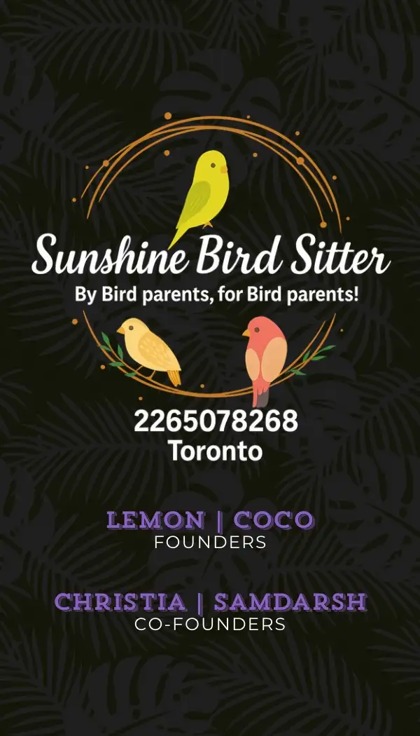 Sunshine Bird Sitter