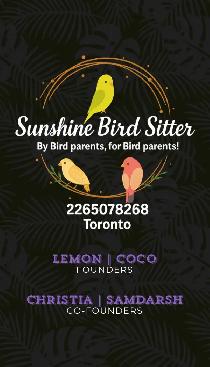 Sunshine Bird Sitter