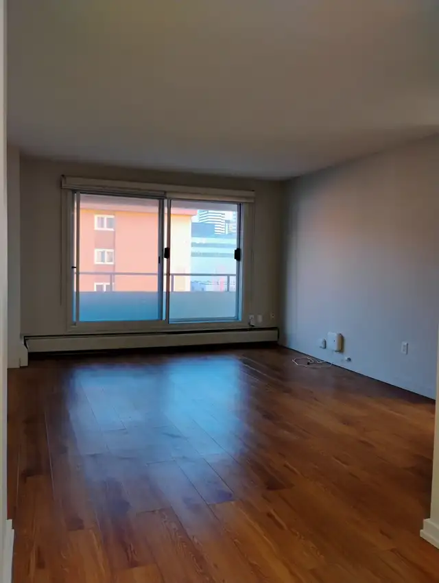 Pet friendly one bedroom apartments, available now! - Photo 3