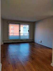 Pet friendly one bedroom apartments, available now! - Photo 3