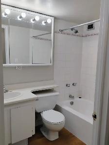Pet friendly one bedroom apartments, available now! - Photo 4