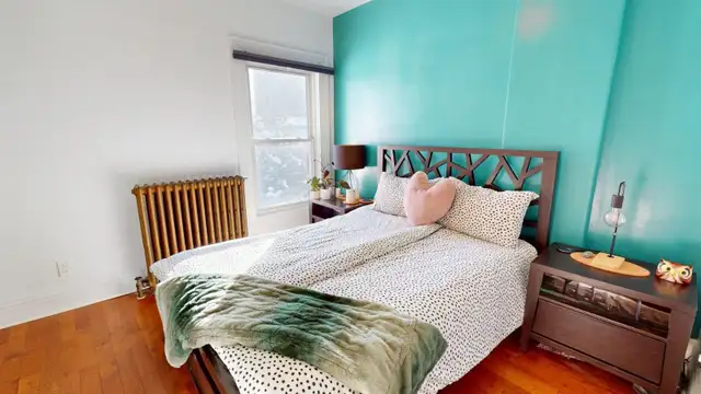 Three-bedroom house in Hamilton - Photo 4