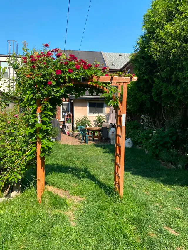 Three-bedroom house in Hamilton - Photo 18
