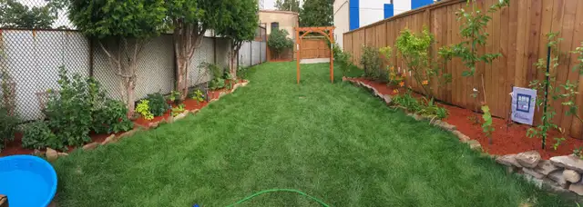 Three-bedroom house in Hamilton - Photo 22