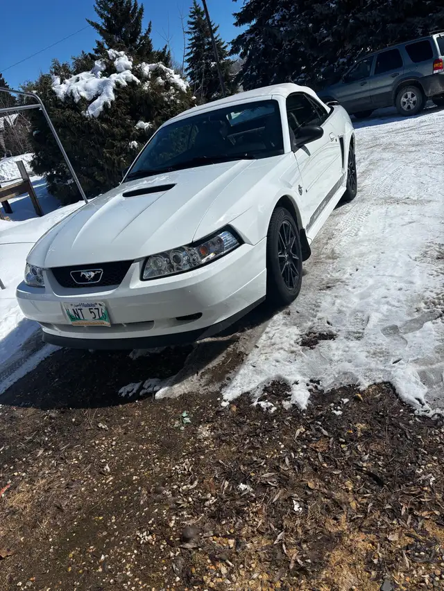 1999 Ford Mustang convertible 35th anniversary edition