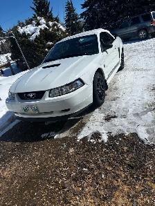 1999 Ford Mustang convertible 35th anniversary edition