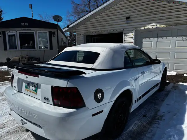 1999 Ford Mustang convertible 35th anniversary edition - Photo 2