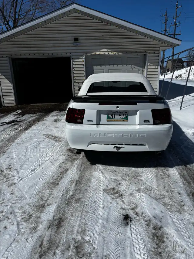 1999 Ford Mustang convertible 35th anniversary edition - Photo 3