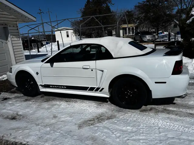 1999 Ford Mustang convertible 35th anniversary edition - Photo 4