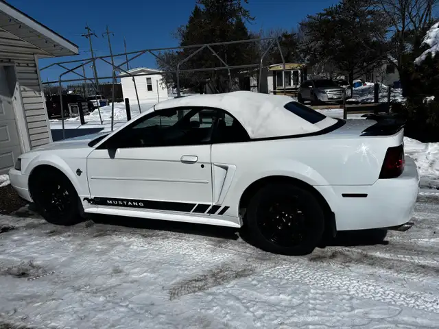 1999 Ford Mustang convertible 35th anniversary edition - Photo 5