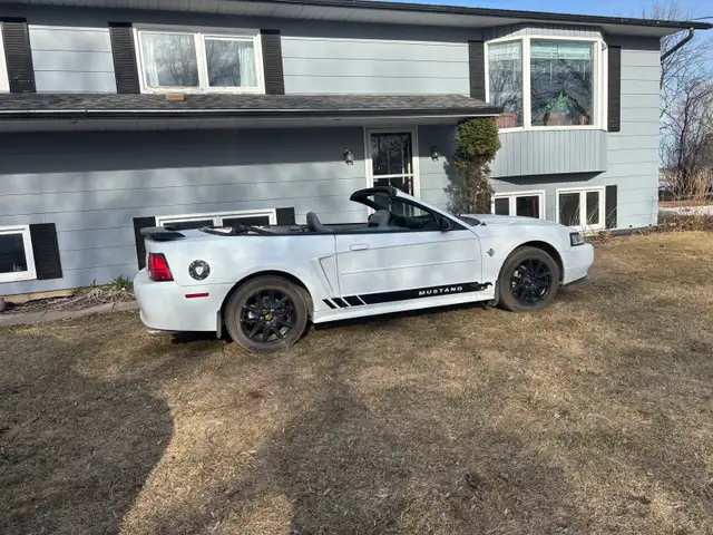 1999 Ford Mustang convertible 35th anniversary edition - Photo 6
