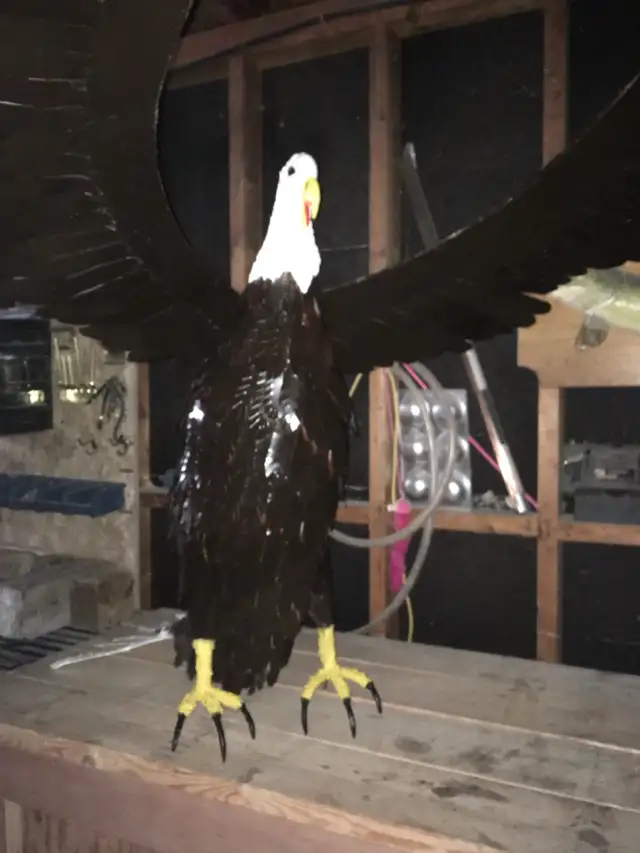 metal sculpture Bald Eagle - Photo 2