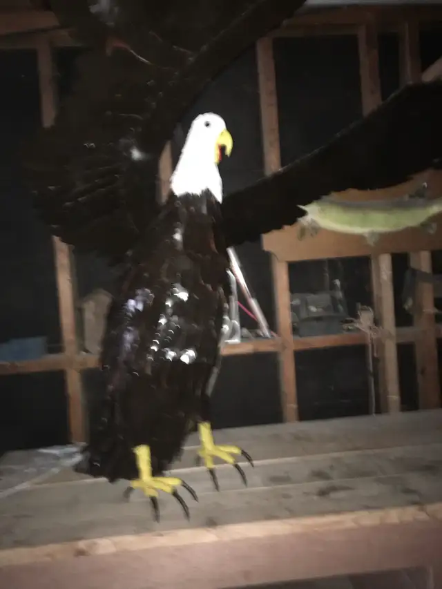 metal sculpture Bald Eagle - Photo 3