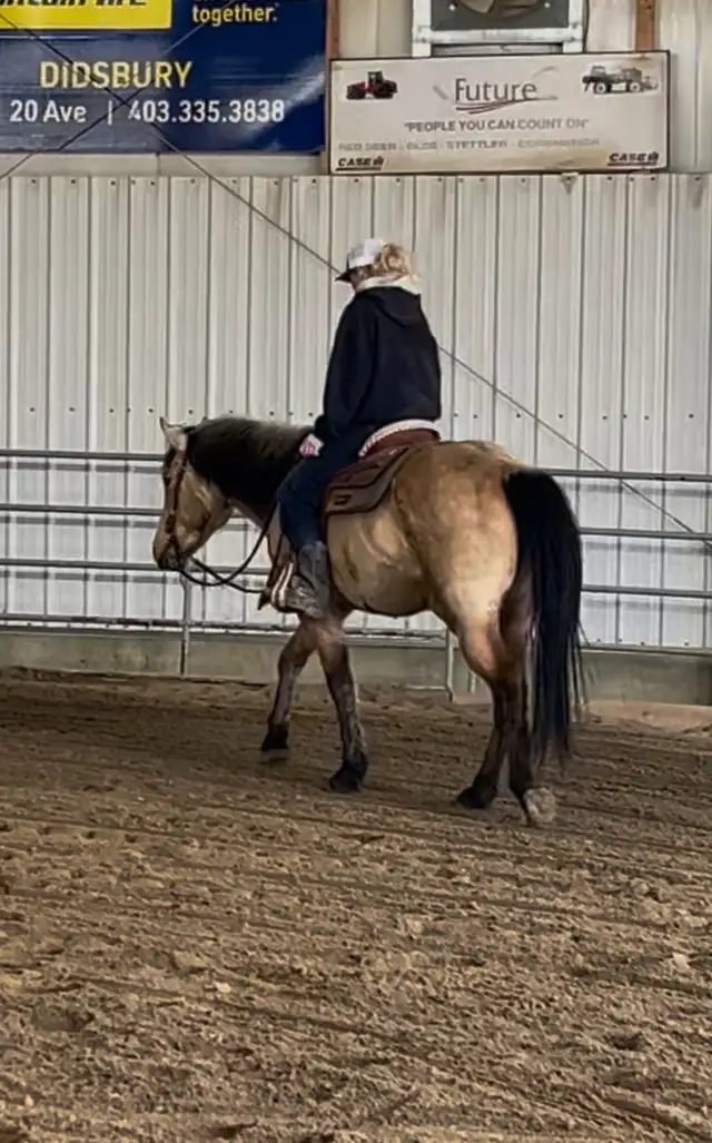 4 yr Buckskin Quarter Horse Mare - Photo 2