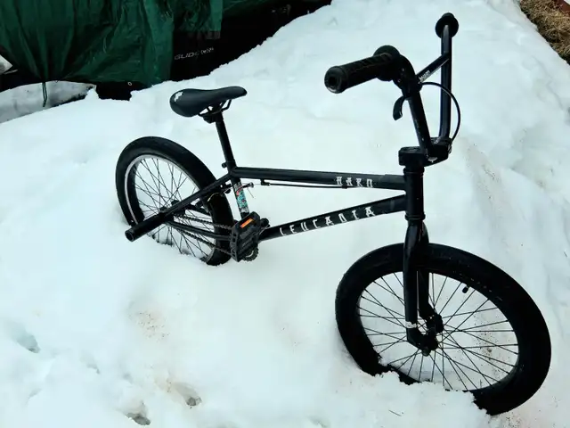 Used Haro Leucadia BMX 20.5 bike 2021