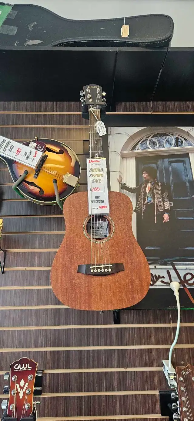 Denver Travel Parlour Style Guitar