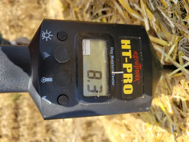 LARGE ROUND BARLEY STRAW - Photo 4