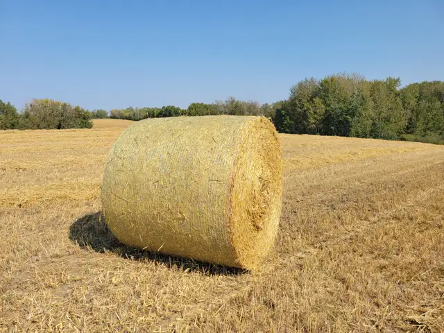 LARGE ROUND STRAW BALES - Photo 3