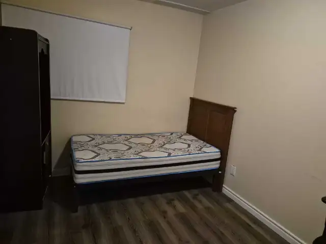 Room Furnished McMaster Hamilton Now - Photo 5