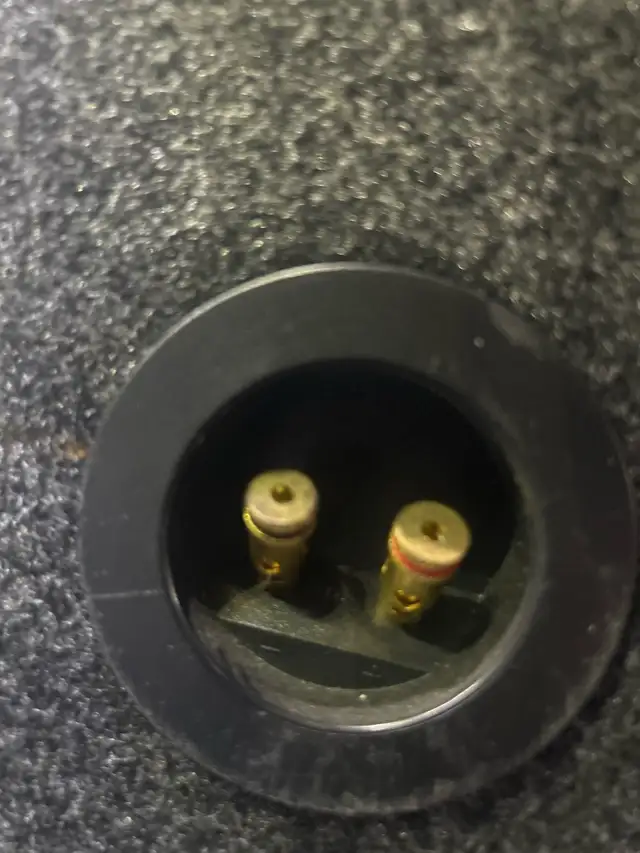 Pioneer TS-W311D4 12" Subwoofer - Photo 2