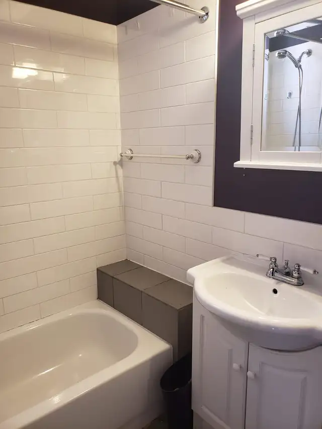 5 1/2 3 bedroom apartment on saint Joseph Plateau Mont Royal - Photo 4