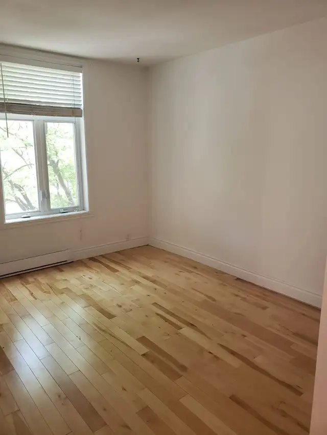 5 1/2 3 bedroom apartment on saint Joseph Plateau Mont Royal - Photo 5