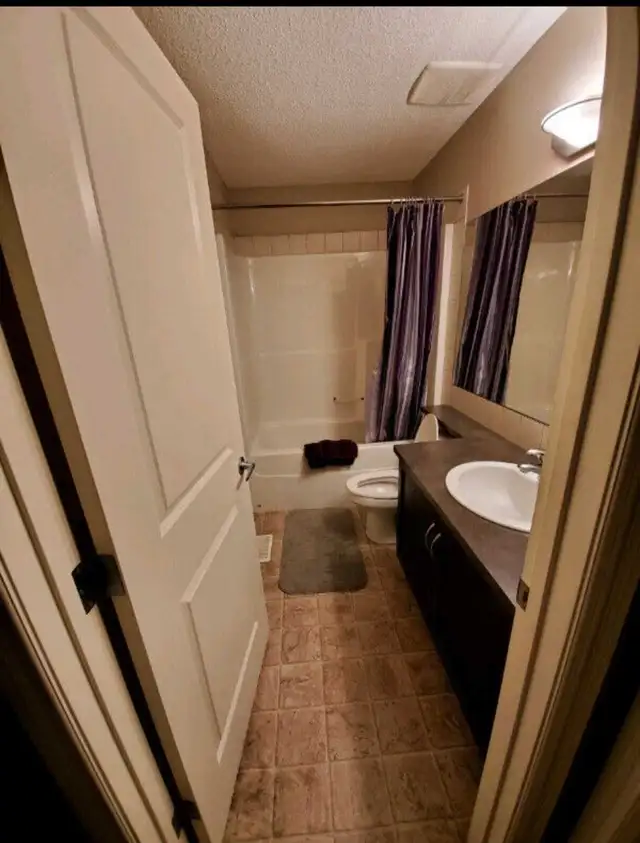 Room for rent in McKenzie Town - May 1st - Photo 2