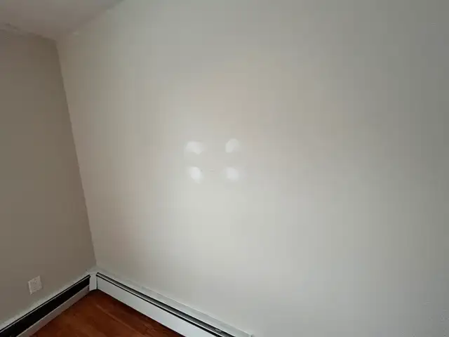 Affordable painting job for you