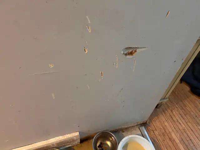 Affordable painting job for you - Photo 8