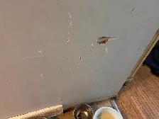 Affordable painting job for you - Photo 8
