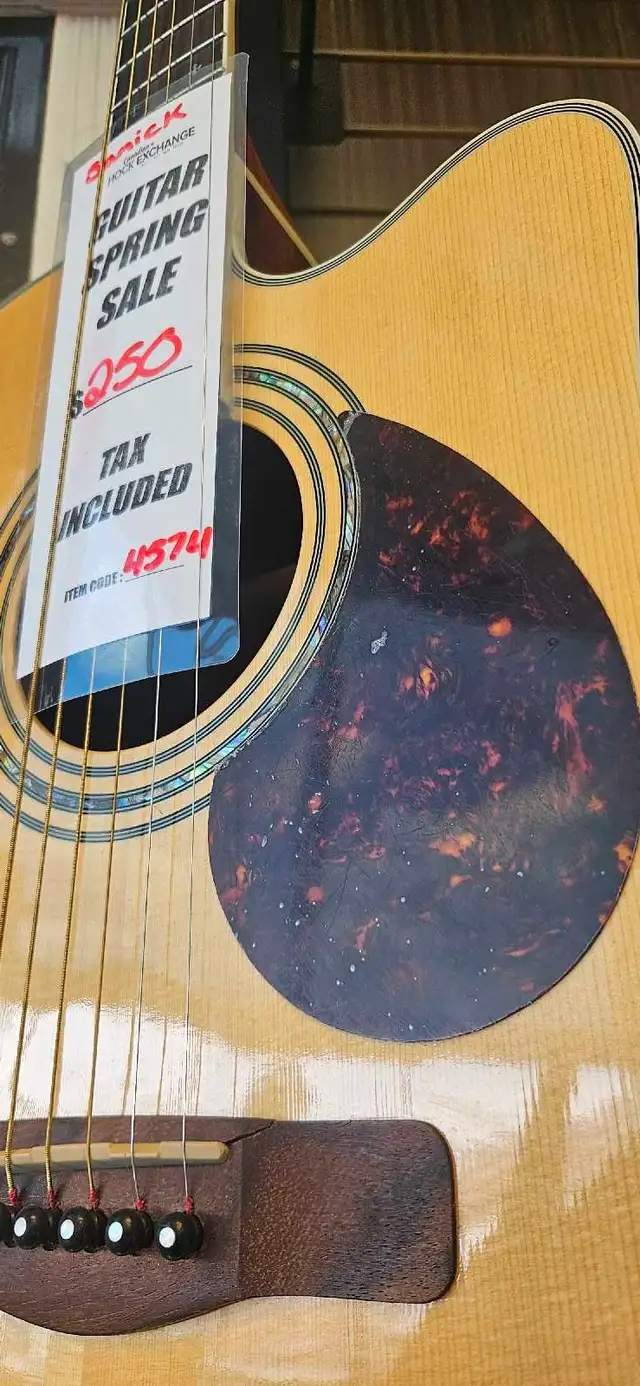 Samick Greg Bennett Full Size Cutaway Pickup Guitar - Photo 4