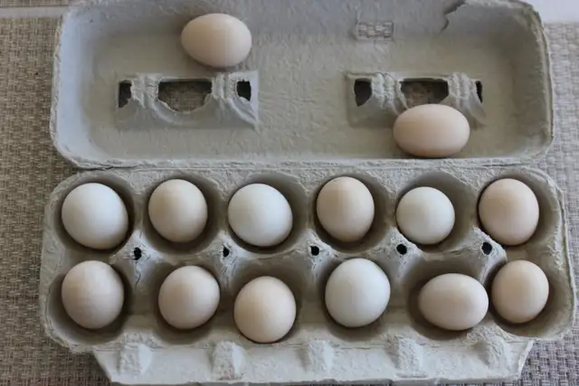 Fertilized purebred Serama hatching chicken eggs - Photo 4