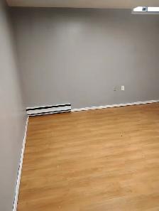 One Bedroom Basement Apartment- Parking Included