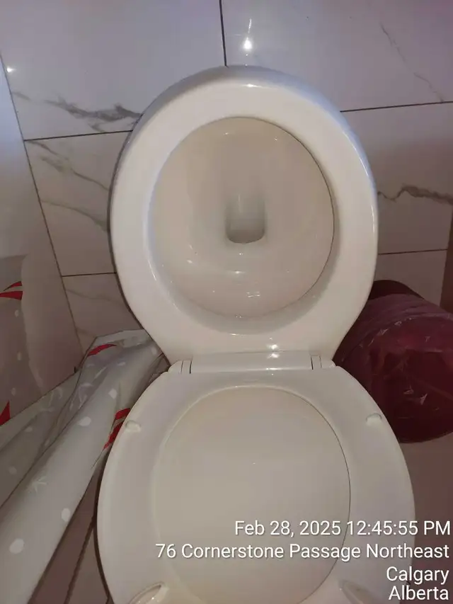 Professional cleaner available for work - Photo 6