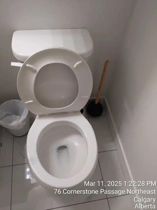 Professional cleaner available for work - Photo 8