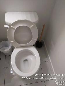 Professional cleaner available for work - Photo 8