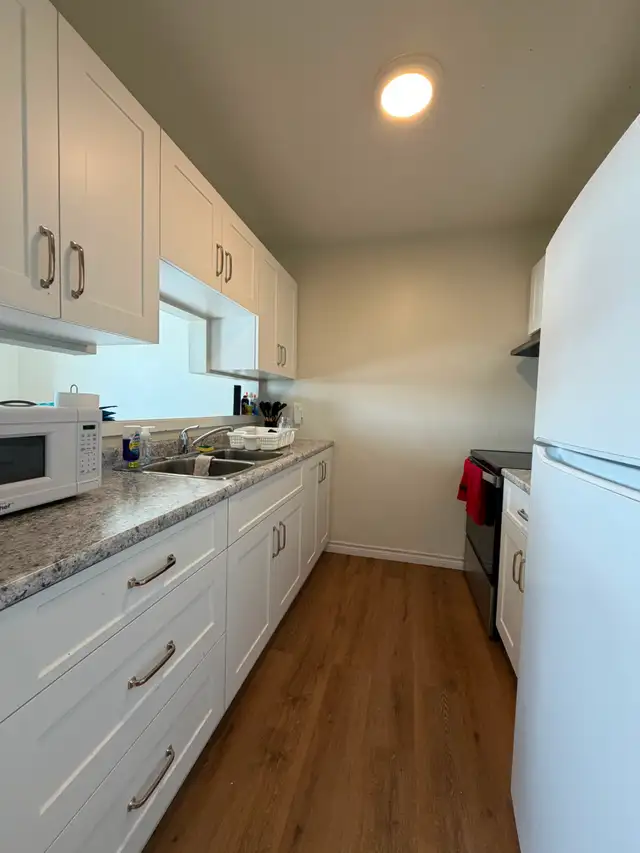 ATTENTION TRENT STUDENTS – 3 Bdrm - Prime Reid St Location - Photo 4